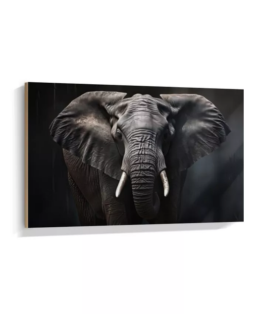 Quadro Decorativo Elefante Minimalista – Arte Natureza para Sala e sala JantarA694813