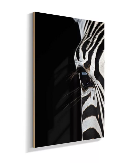 Quadro Decorativo Zebra Abstrata – Arte Preto e Branco para Escritório e salaA912738