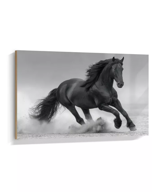 Quadro Decorativo Cavalo Preto – Arte de Força e Liberdade para Sala ou Escritório A764189